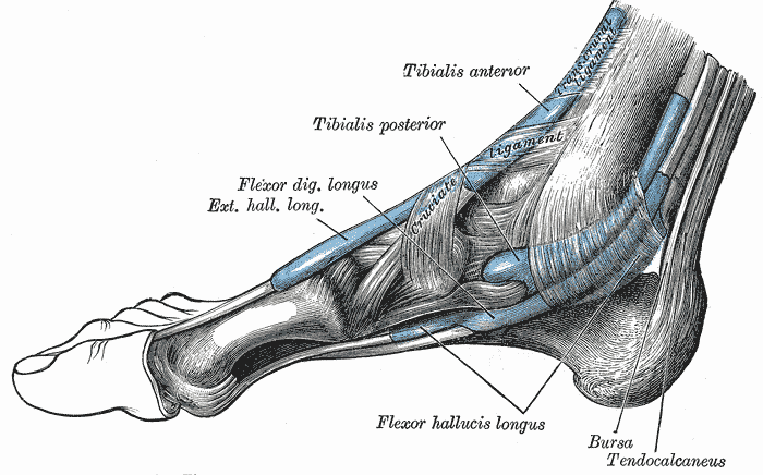 artrosi jalgade raviks tonsilliidi valu liigestes