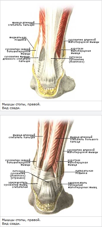polve reie kapuutside liigeste artroosi ja artriidi