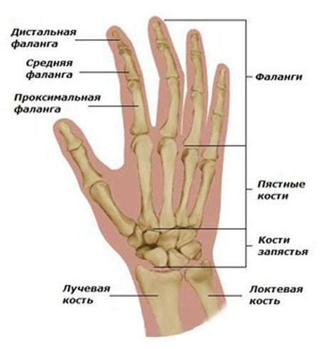 folk viisid artriidi raviks sormede