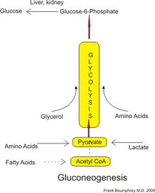 glukosamiini ja kondroitiini mitmepoja